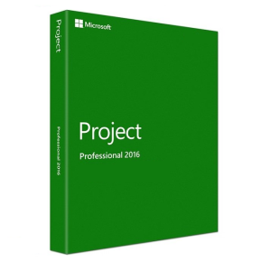 MS Project Professionnel 2016 (1 PC) – Bind