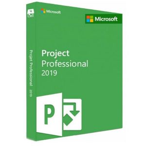 MS Project Professionnel 2019 (1 PC) – Bind